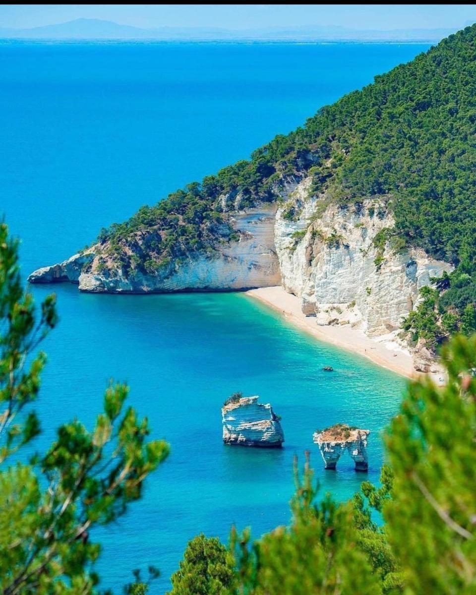 Casa Gargano Διαμέρισμα Carpino Εξωτερικό φωτογραφία